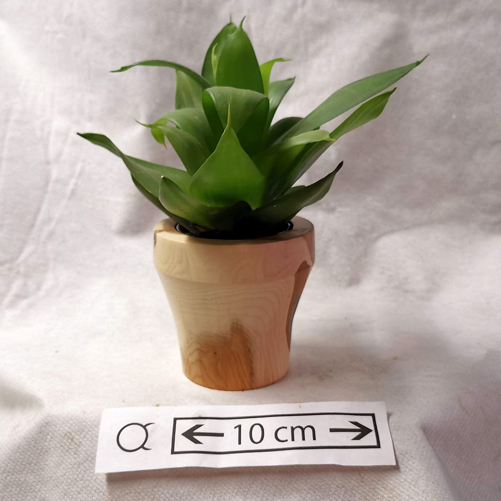 pot de fleur en IF