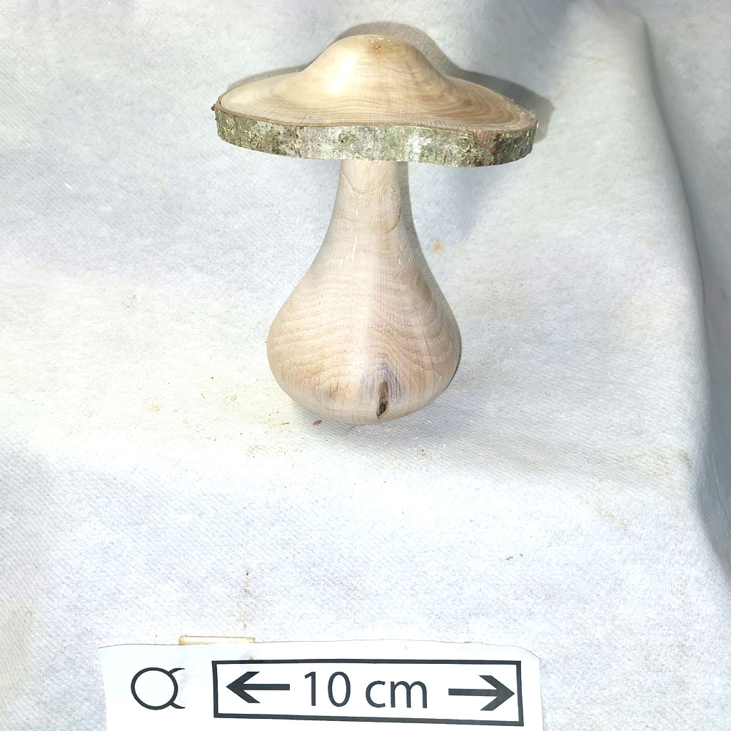 champignon